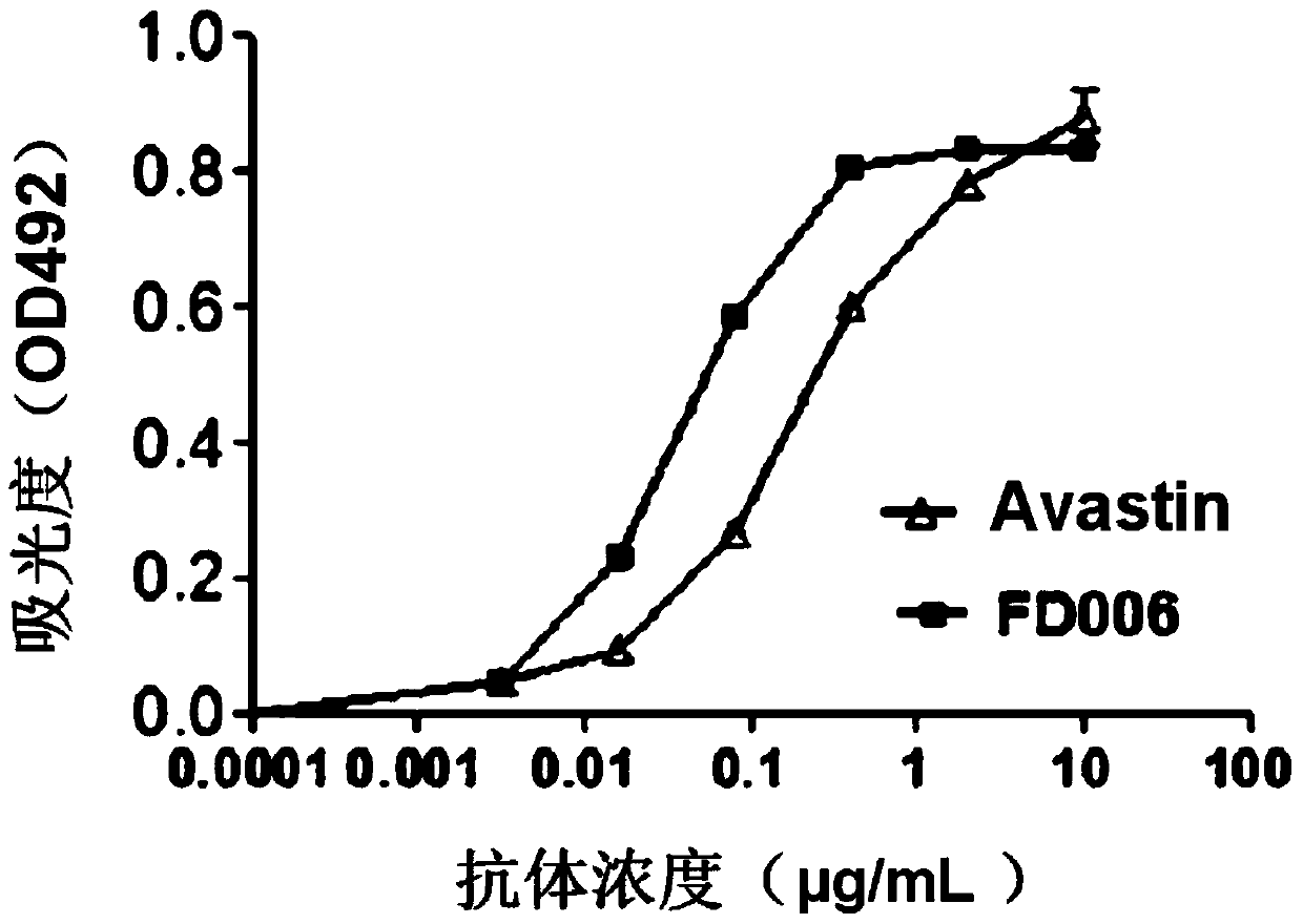 VEGF (Vascular Endothelial Growth Factor) resistant antibody and application thereof