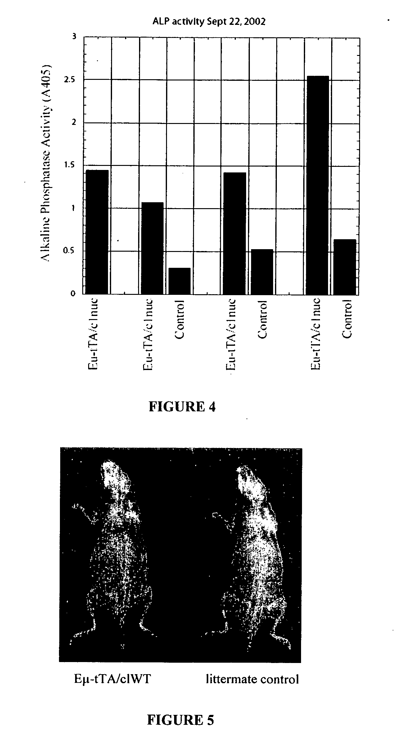 Methods and agents for enhancing bone formation or preventing bone loss