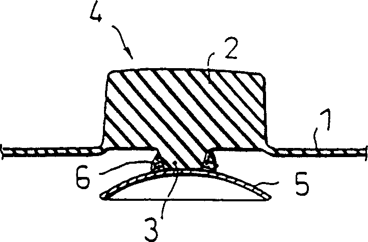 Push-button key cover and producing method thereof