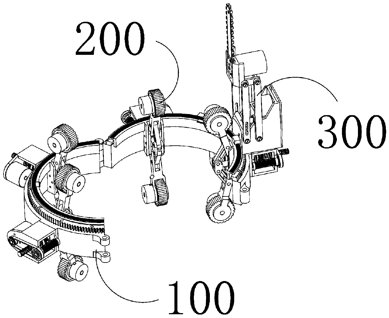 Automatic assembly for cutting off afforestation nursery stock branches