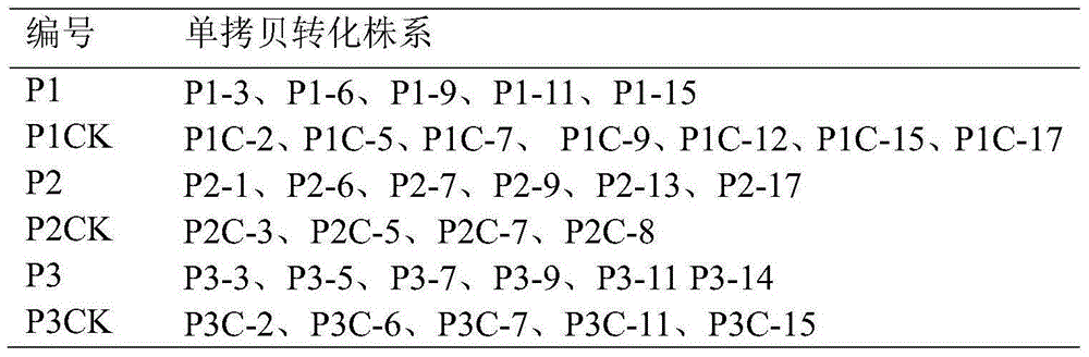 Method for enhancing exogenous gene expression