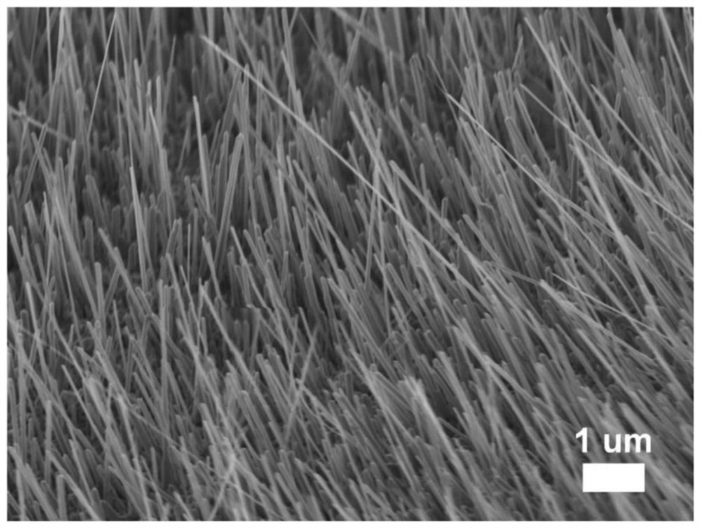 Heterogeneous gas-sensitive nano material based on cerium oxide particle modified copper oxide nanowire structure and preparation process and application thereof