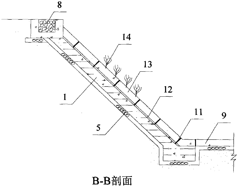 Hard reinforced concrete revetment slope biological repairing method