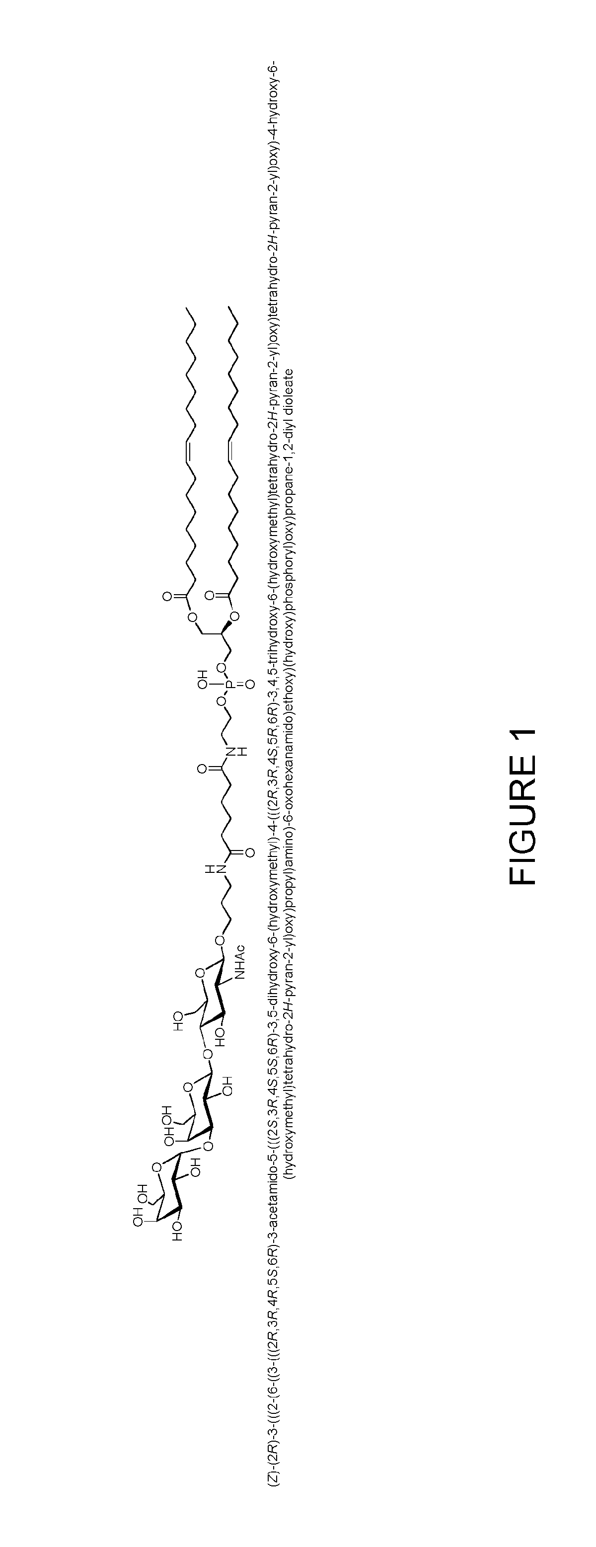 Glycolipid containing compositions for use in the treatment of tumours