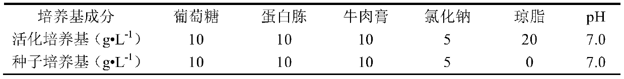 Antioxidative peptide derived from yak blood and preparation and application of antioxidative peptide