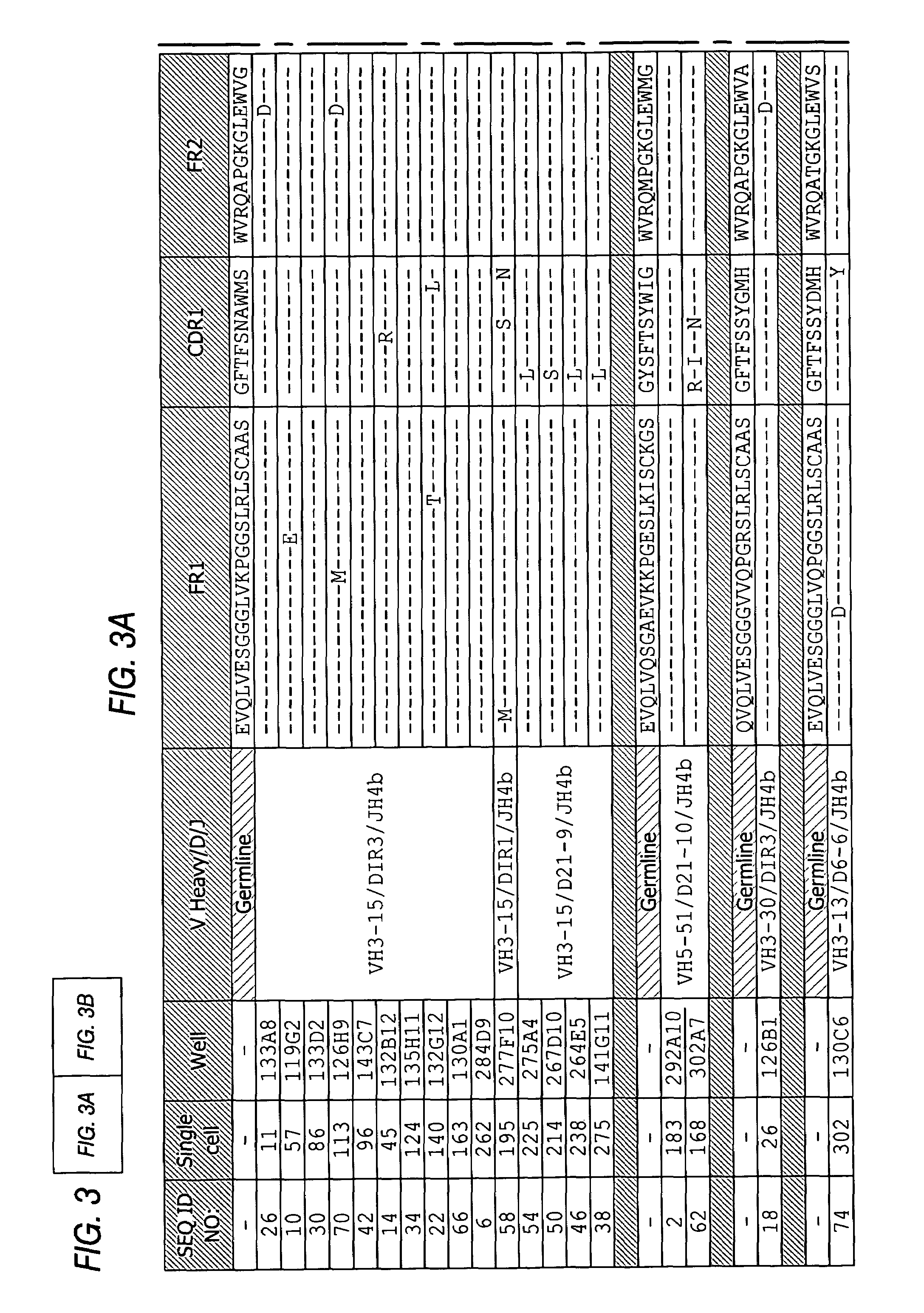 Antibodies directed to parathyroid hormone (PTH) and uses thereof