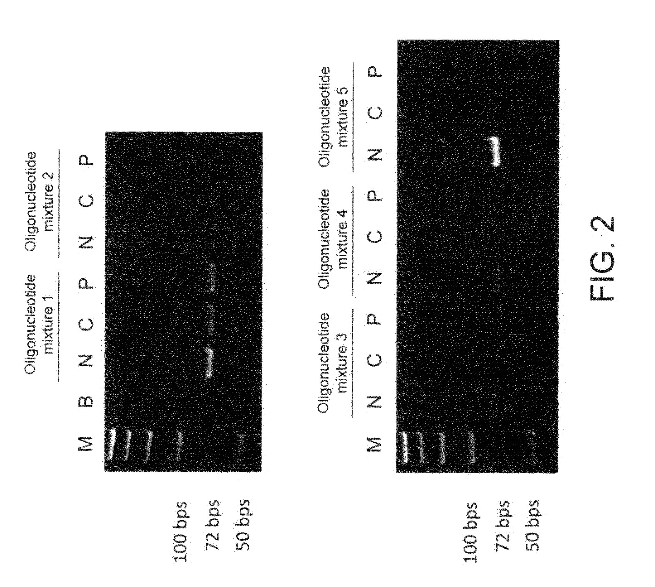 Aptamer and detection method for C-reactive protein