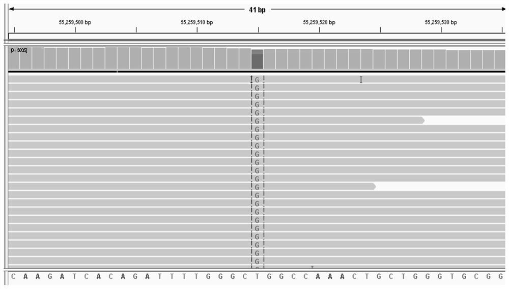 A lung cancer-related 33 gene targeted capture sequencing kit and its application