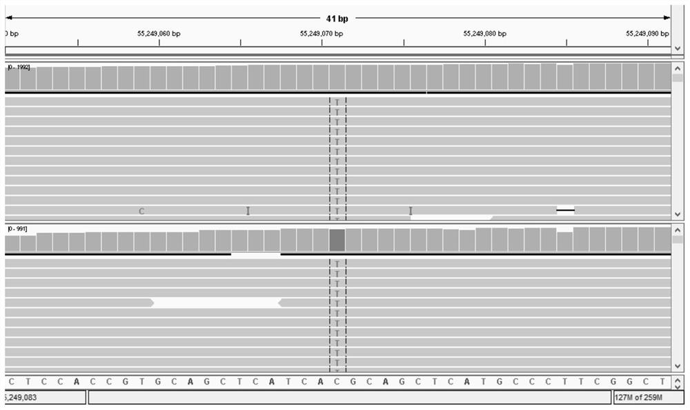 A lung cancer-related 33 gene targeted capture sequencing kit and its application