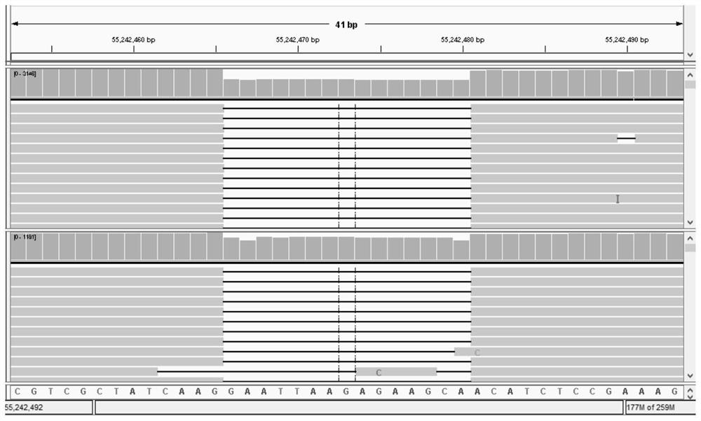 A lung cancer-related 33 gene targeted capture sequencing kit and its application