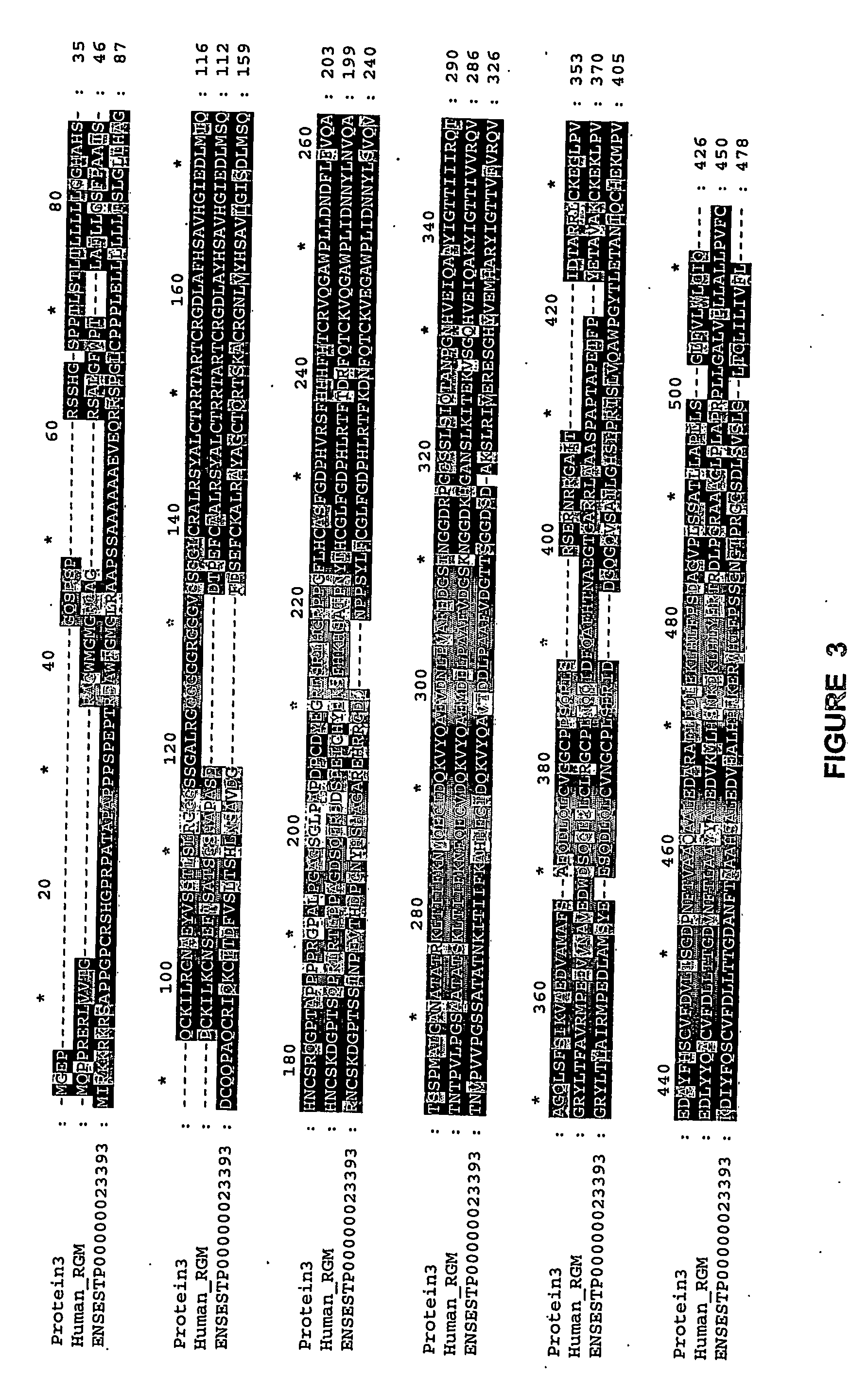 Juvenile hemochromatosis gene (hfe2a), expression products and uses thereof