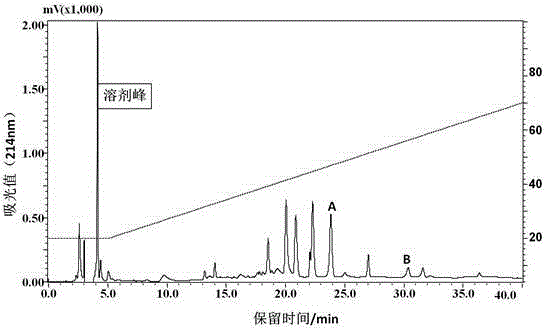 Hylarana guentheri antibacterial peptide and application thereof