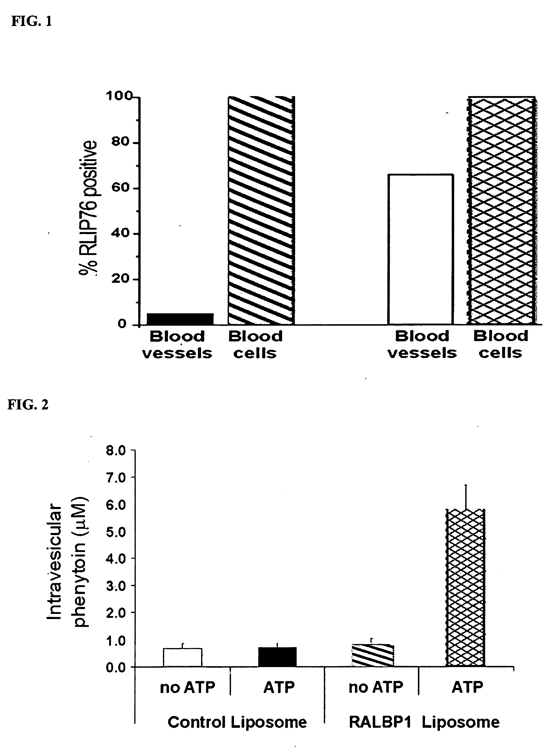 Therapies for seizure disorders using RLIP76