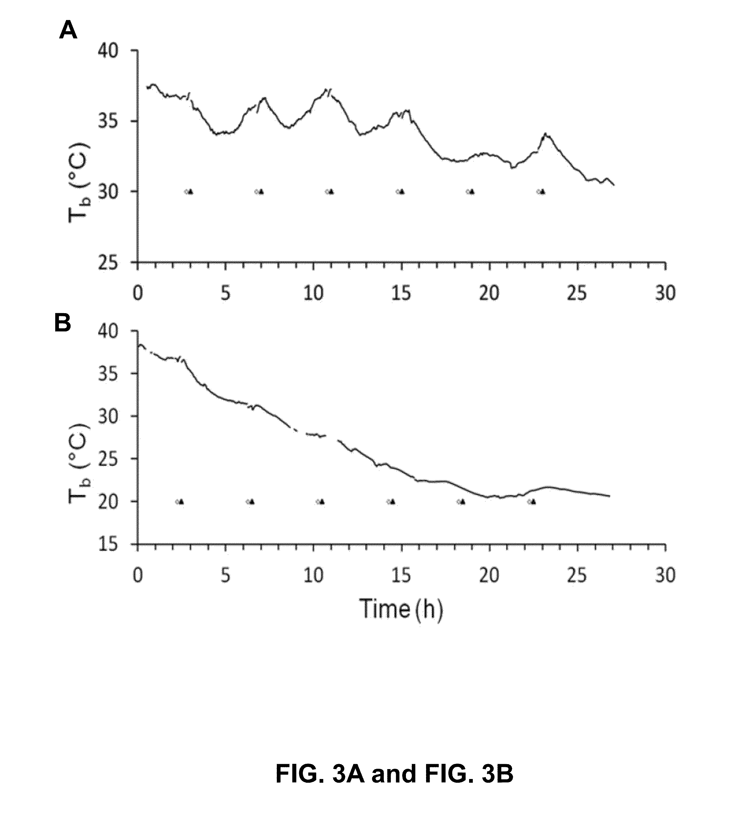 Methods and compositions for the treatment of ischemic injury to tissue using therapeutic hypothermia