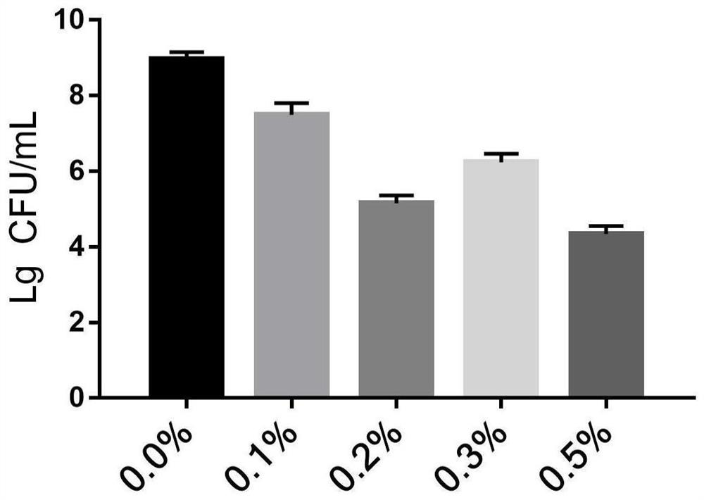 Anti-aging bifidobacterium animalis and application thereof