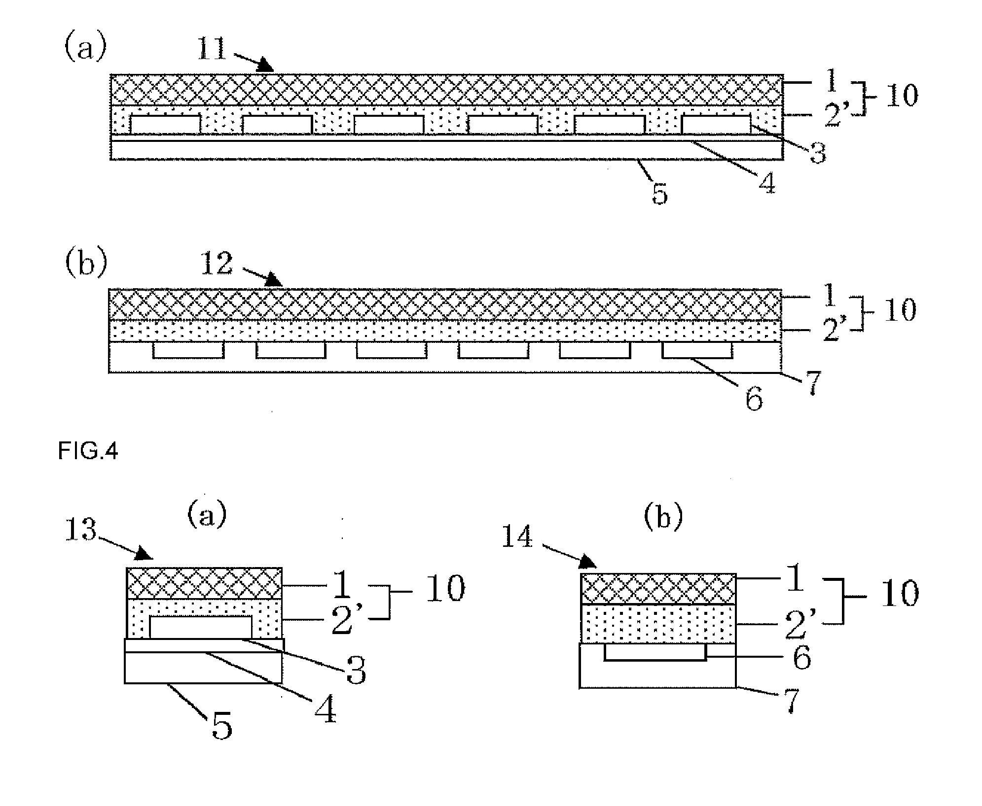 Encapsulant equipped with supporting substrate, encapsulated substrate having semiconductor devices mounting thereon, encapsulated wafer having semiconductor devices forming thereon, semiconductor apparatus, and method for manufacturing semiconductor apparatus