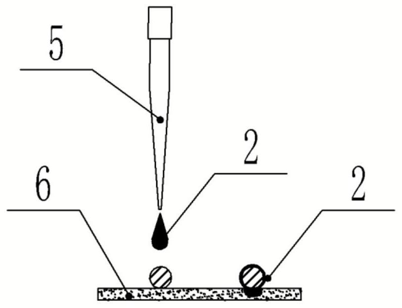 Freeze-dried reagent manufacturing process for preventing deliquescence of freeze-dried reagent balls and freeze-dried reagent