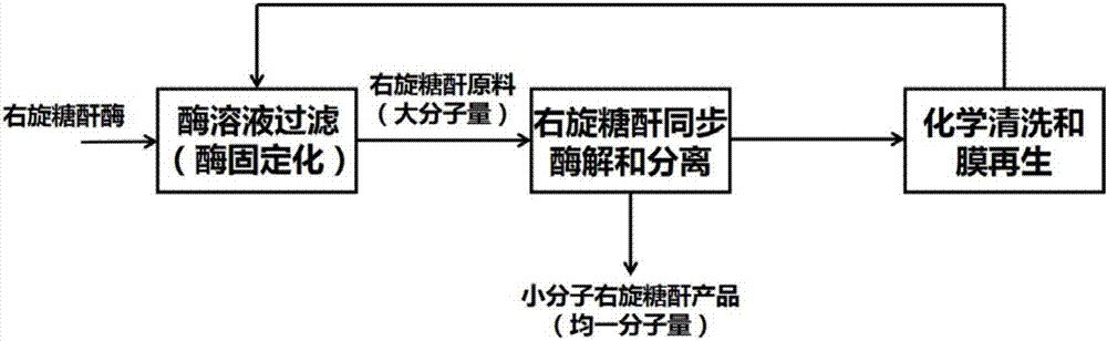 Method for producing small molecular dextran, product and application thereof