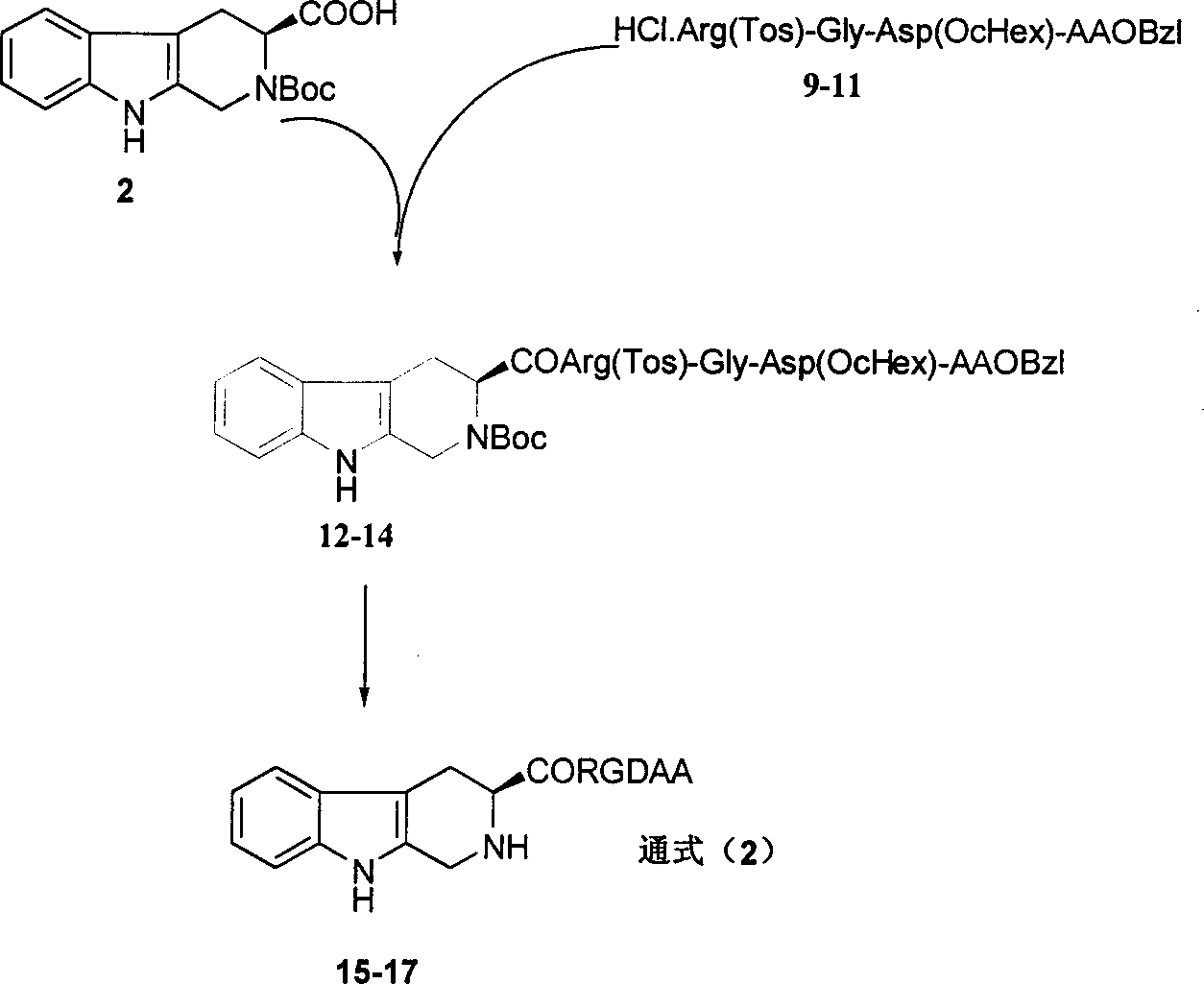 Beta-tetrahydro carboline carboxylic acid, its RGD conjugate, their synthesis and medical application
