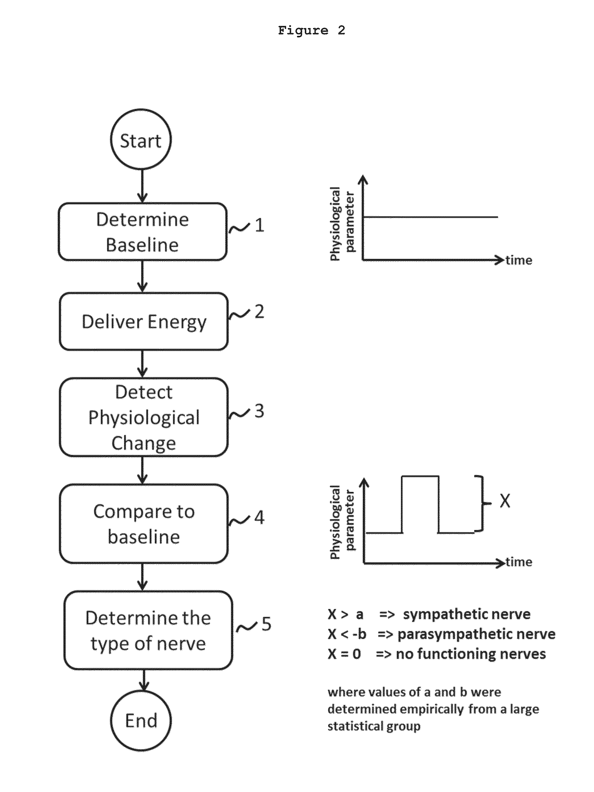System and method for locating and identifying the functional nerves innervating the wall of arteries