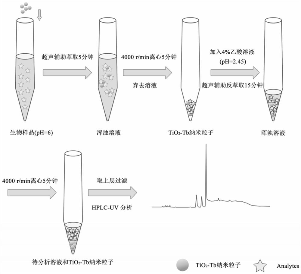 Pretreatment method and quantitative detection method of quinolone antibiotics in biological sample