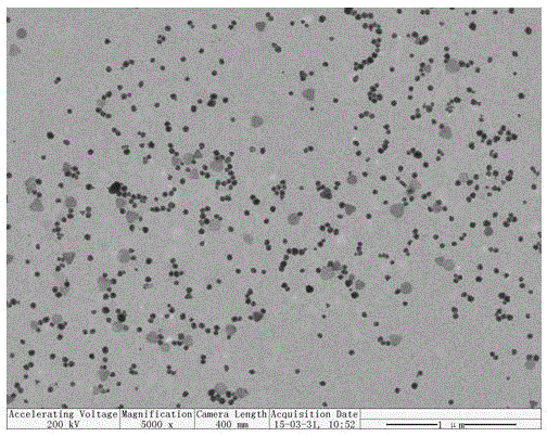 Method for rapidly preparing nano-silver particles