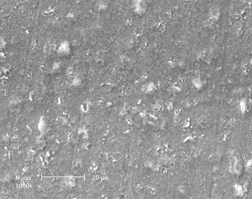 Method for synthesizing hydroxyapatite-titanium oxide composite coating by adopting microarc oxidation method and potentiostatic method