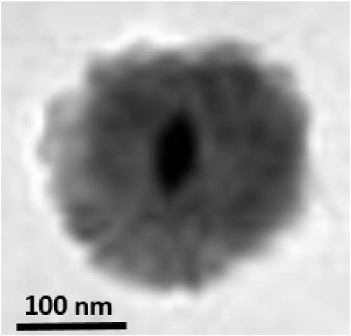 A preparation method of nano-silver organic framework ultrafiltration membrane and a method for using it to purify water