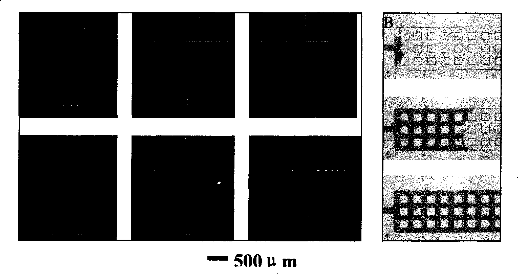 Micro-fluidic chip with an integrated PDMS surface tension minipump and application thereof