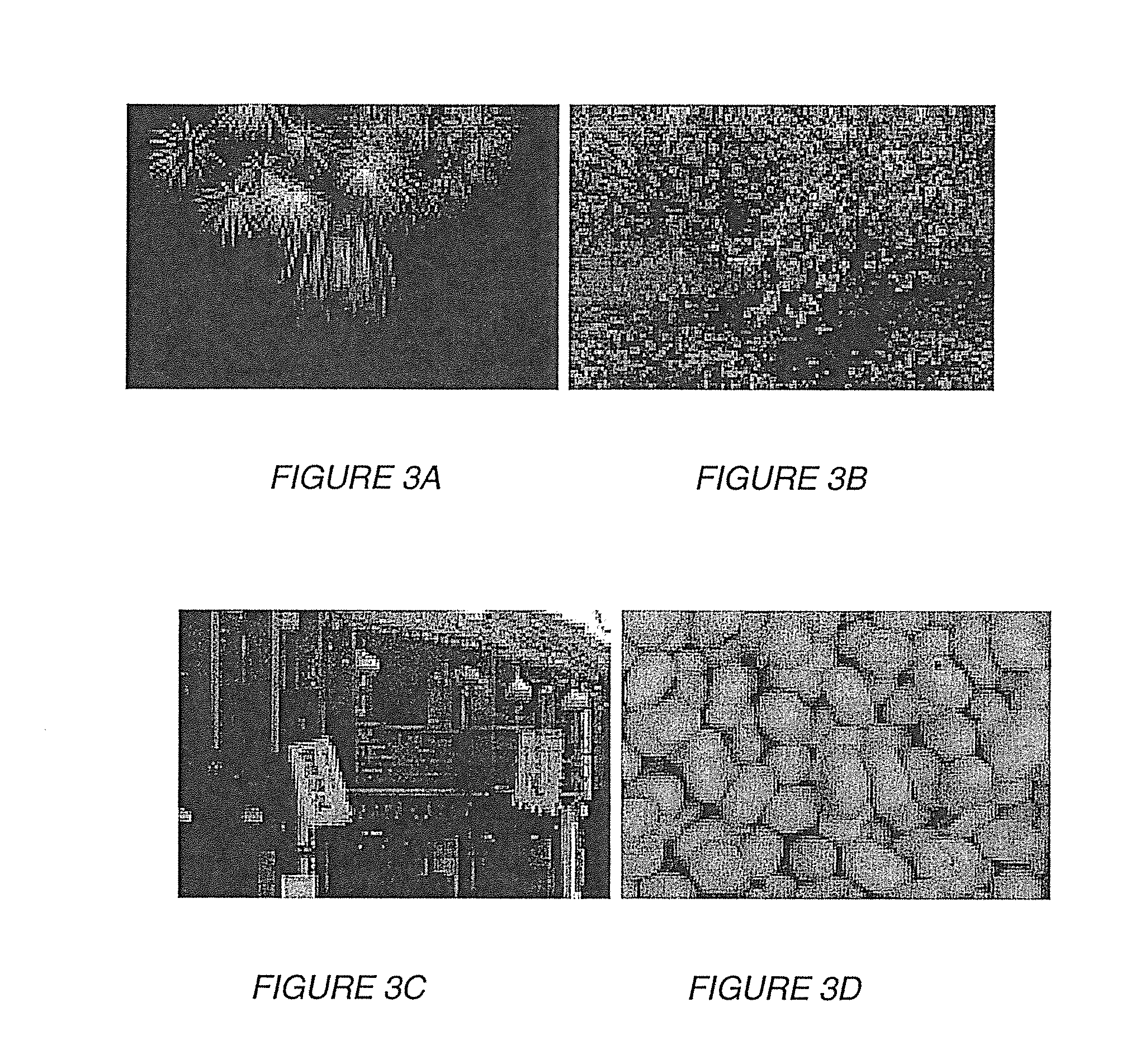 Studying aesthetics in photographic images using a computational approach