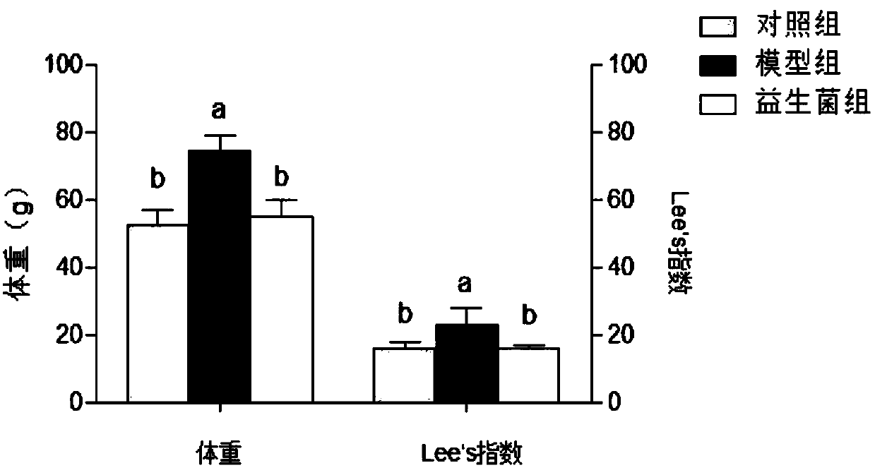 Lactobacillus plantarum improving easily-fat body and offspring weight and application thereof