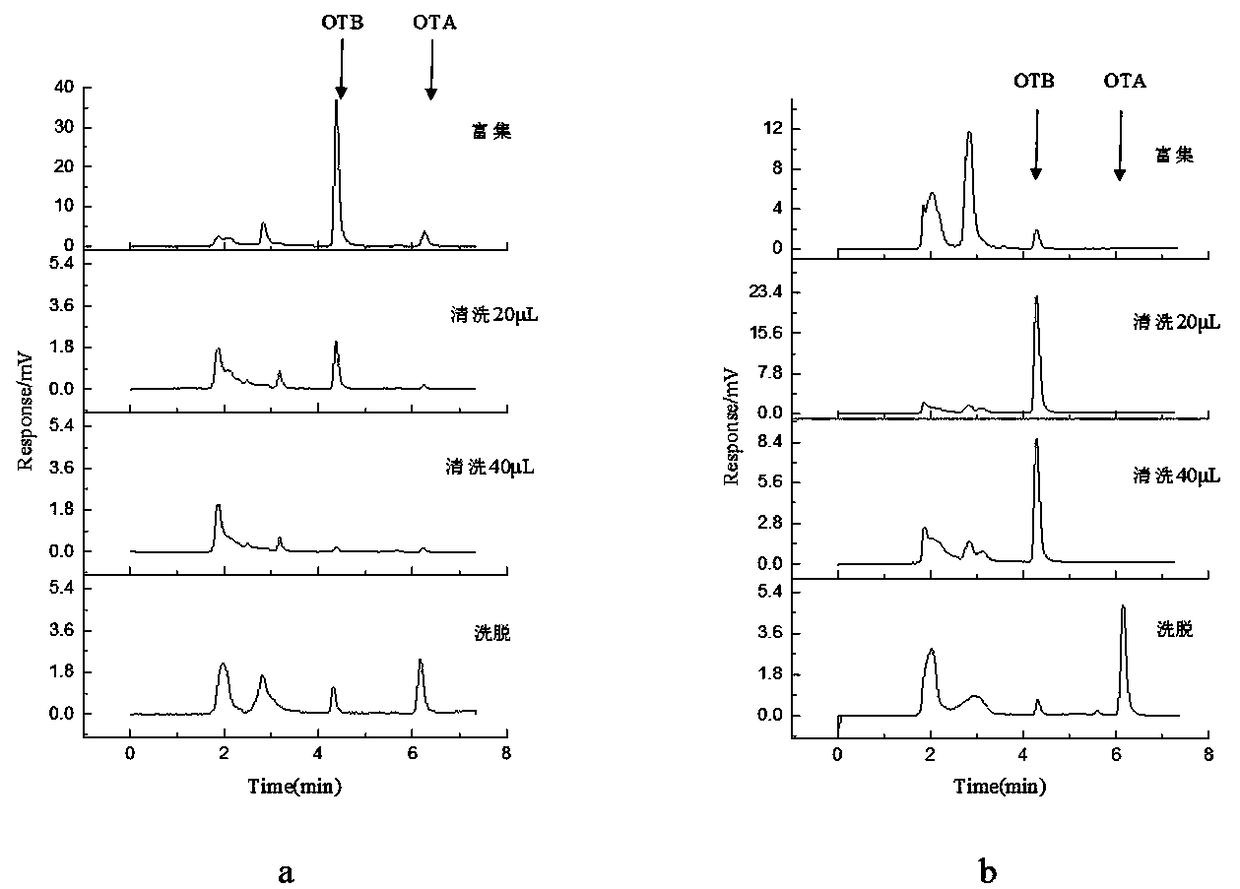 POSS (Polyhedral Oligomeric Silsesquioxane) organic-inorganic hybrid molecular imprinted monolithic column capable of specifically recognizing ochratoxin A and preparation method of monolithic column