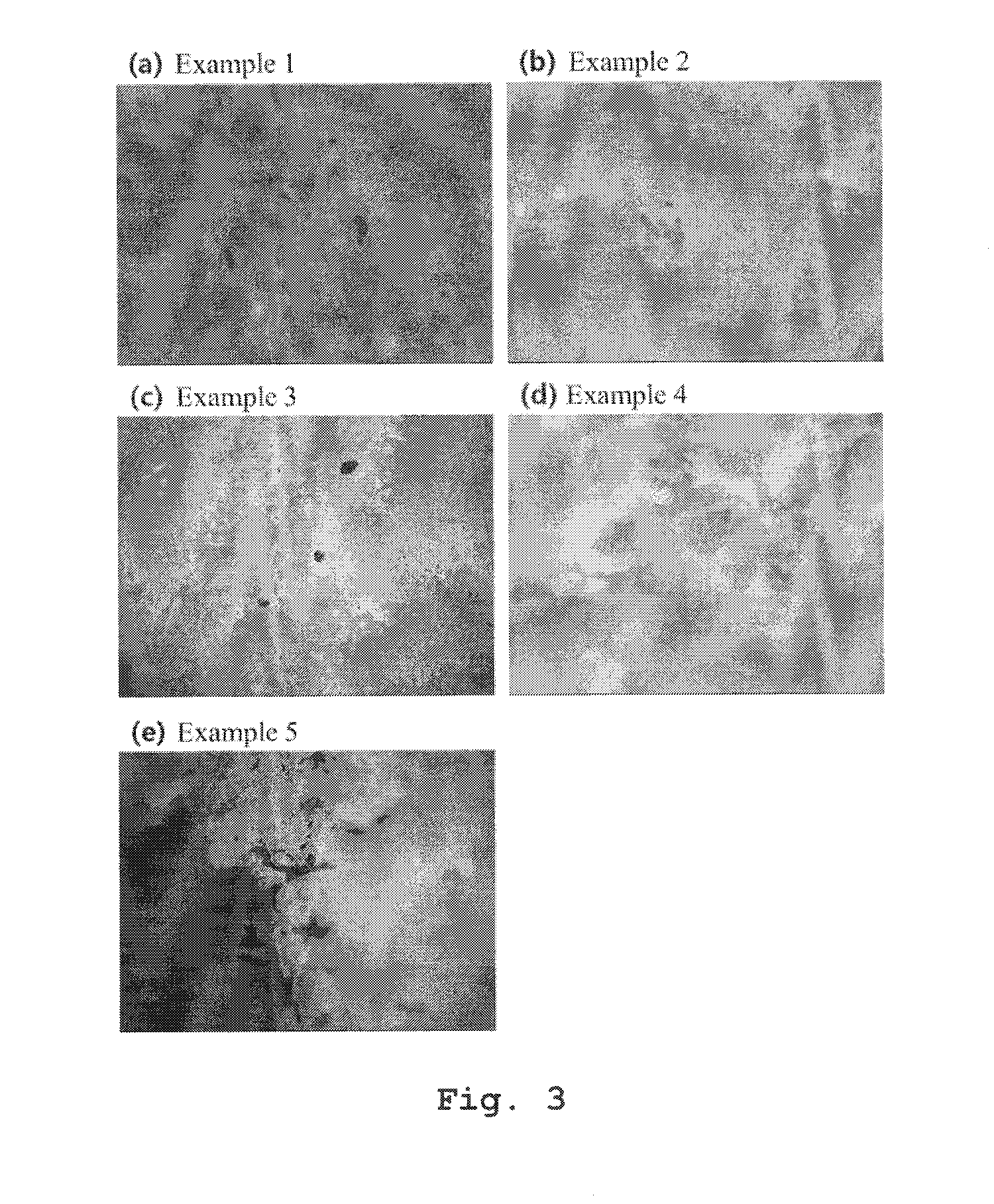 Biodegradable polyurethane plastic using phosphorus pentoxide