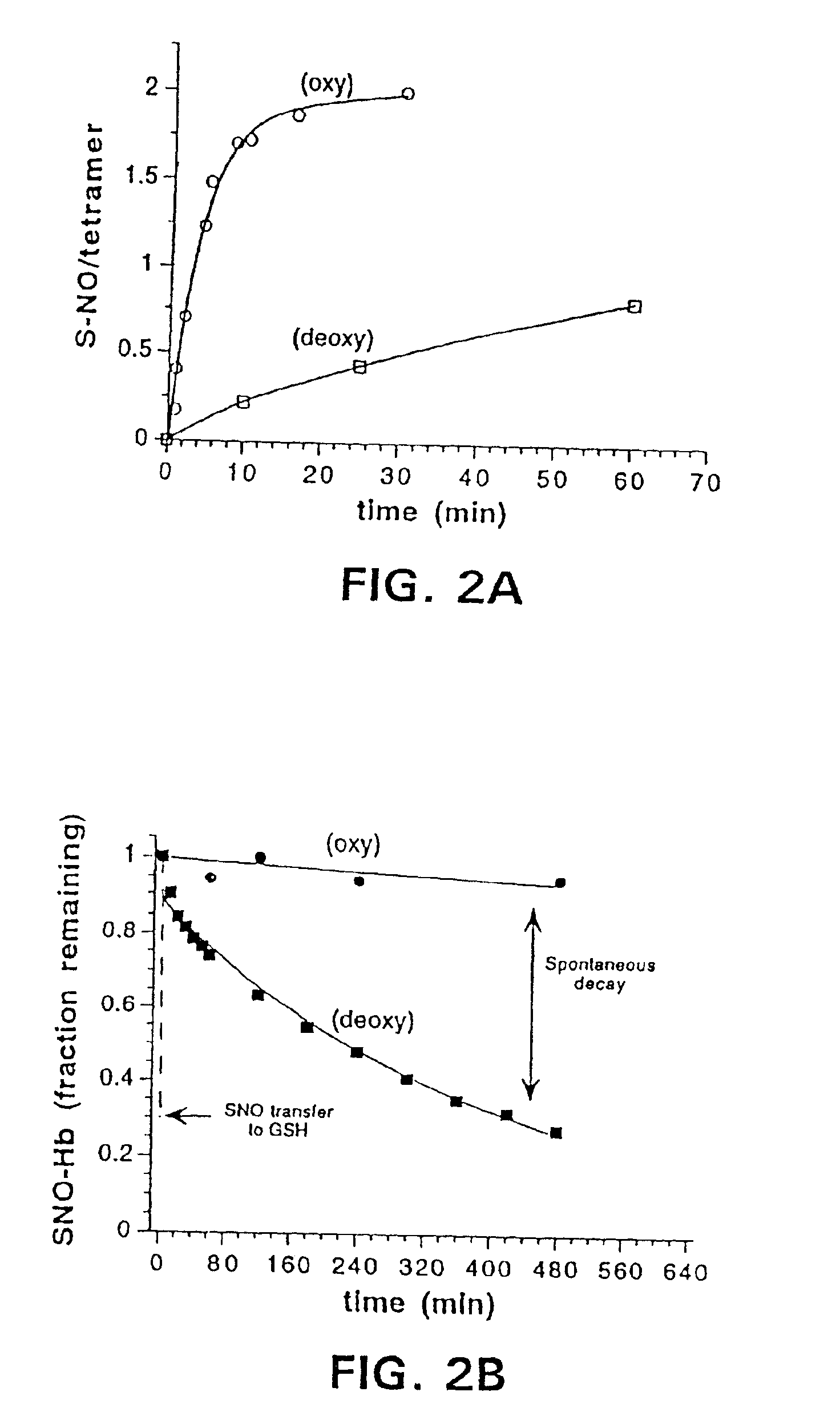 Red blood cells loaded with S-nitrosothiol and uses therefor