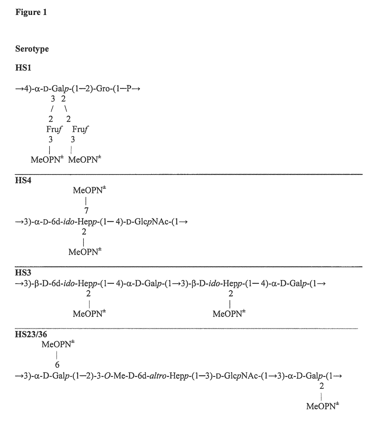 Synthetic antigen constructs against <i>Campylobacter jejuni</i>