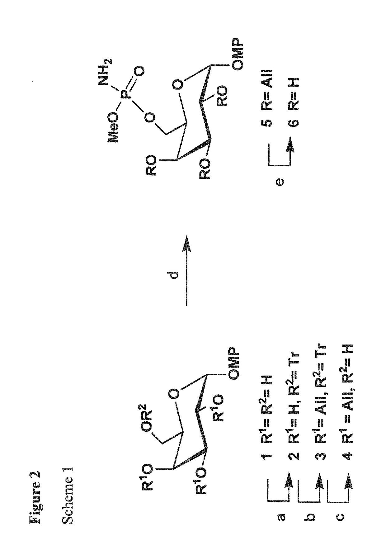 Synthetic antigen constructs against <i>Campylobacter jejuni</i>