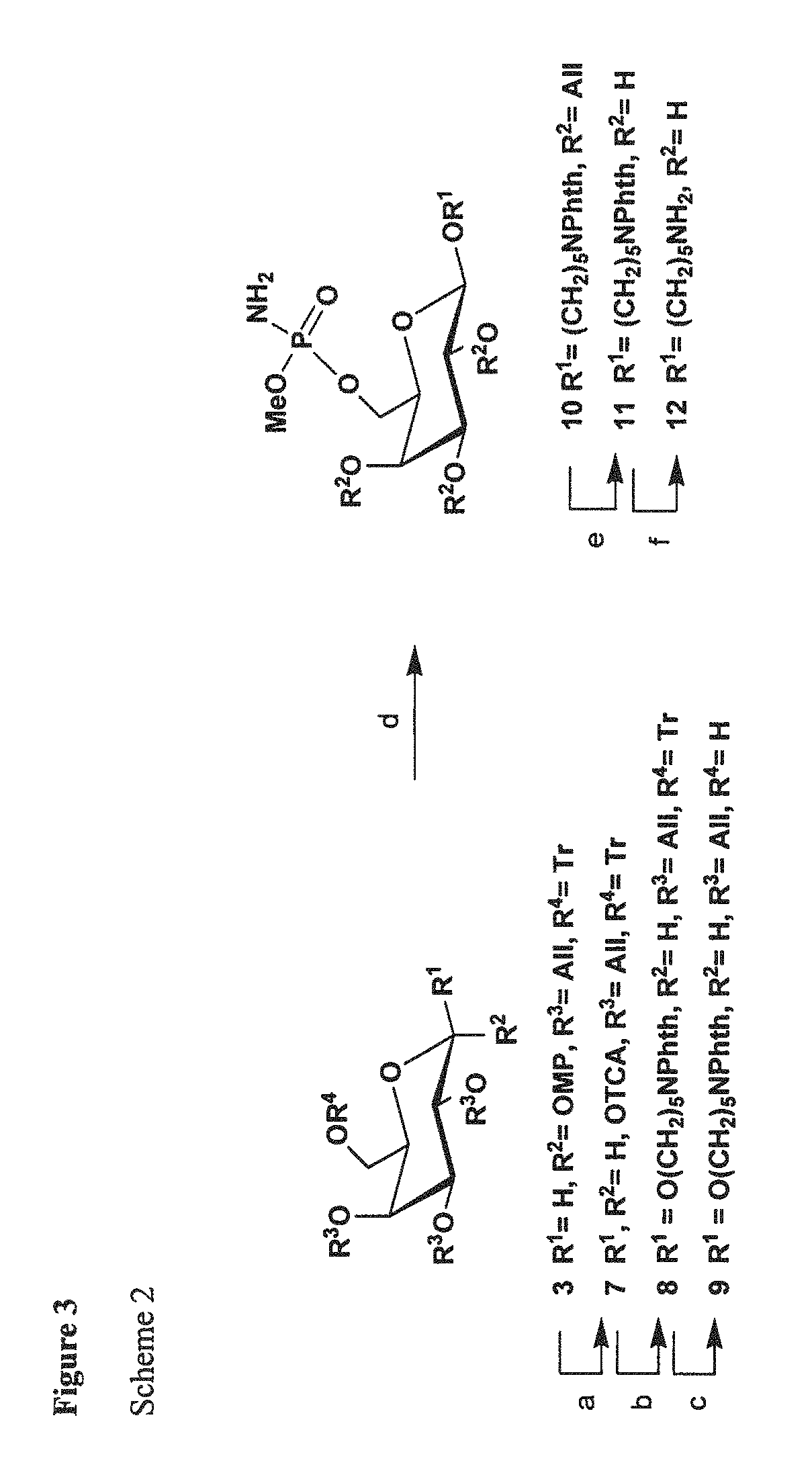 Synthetic antigen constructs against <i>Campylobacter jejuni</i>