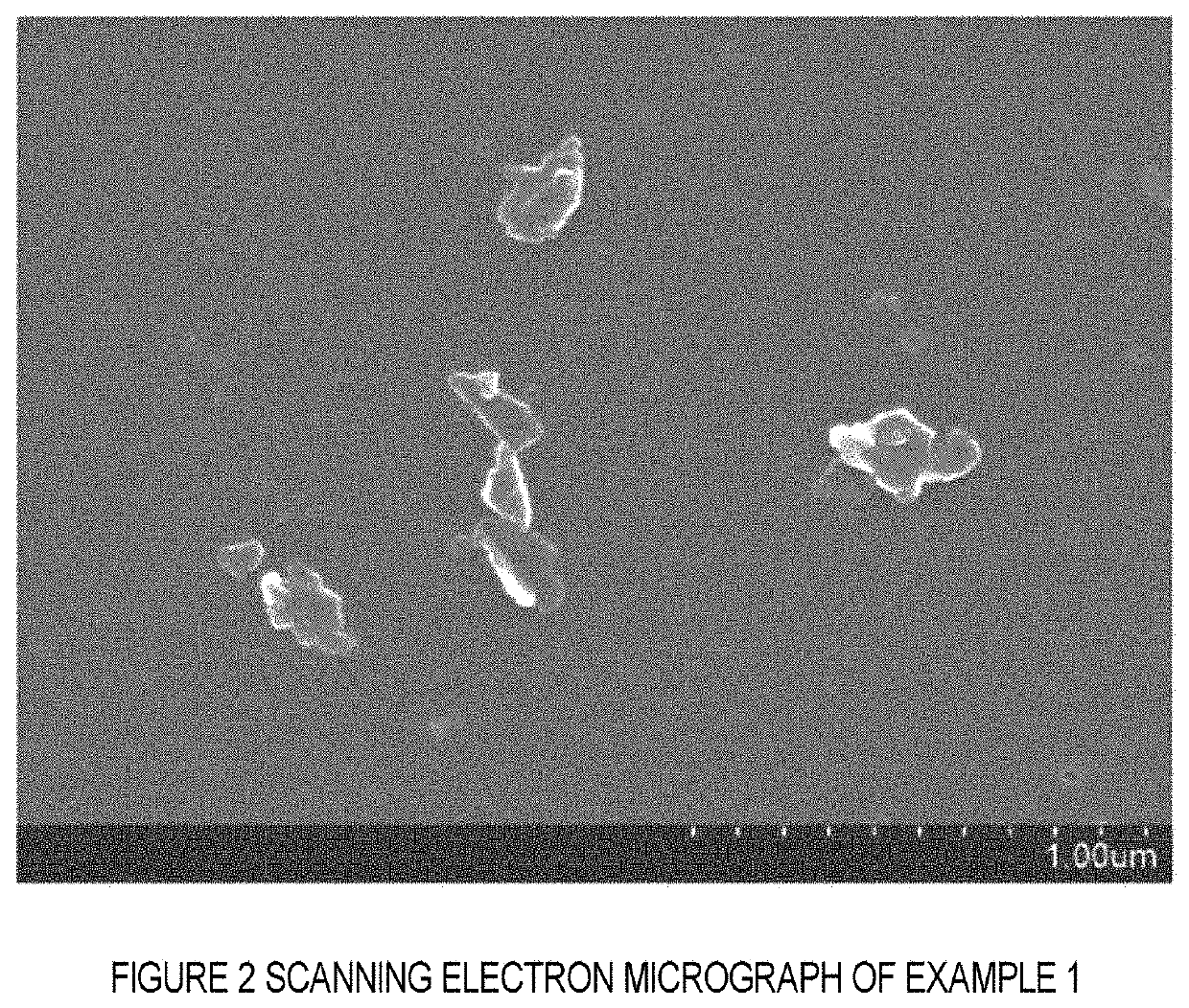 Nitrogen-containing carbon material and process for producing nitrogen-containing carbon material, and slurry, ink, and electrode for fuel cell