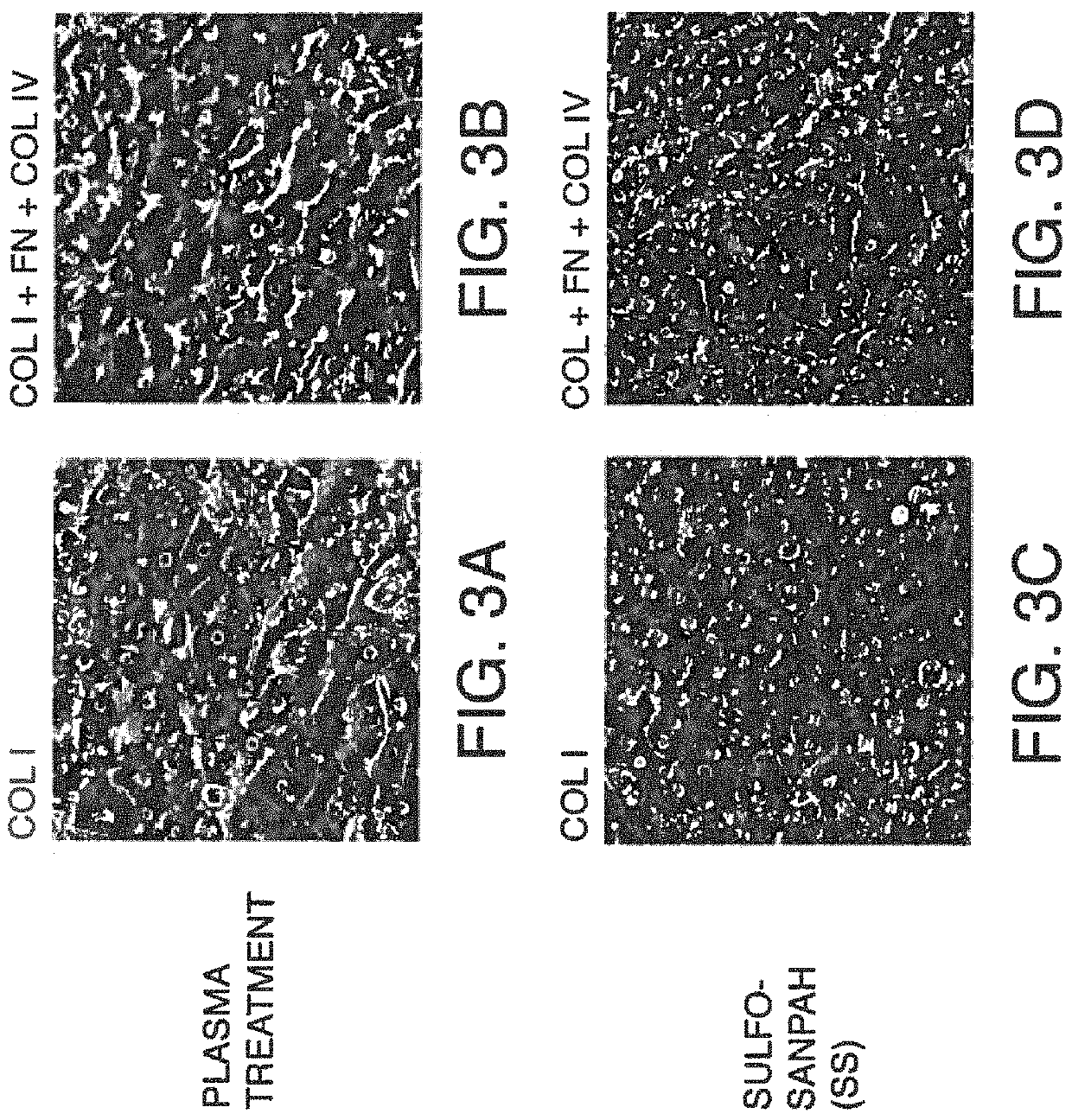 Compositions and methods of cell attachment