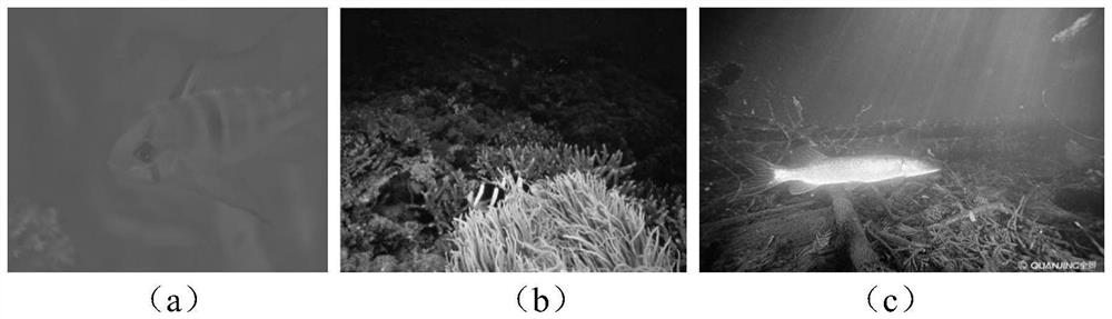 Underwater image processing method based on Retinex and high dynamic range image gradient compression