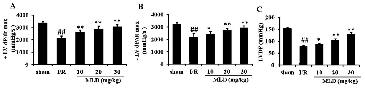 Application of Sangshen Granules in Preparation of Drugs for Prevention and Treatment of Diabetes and Its Complications