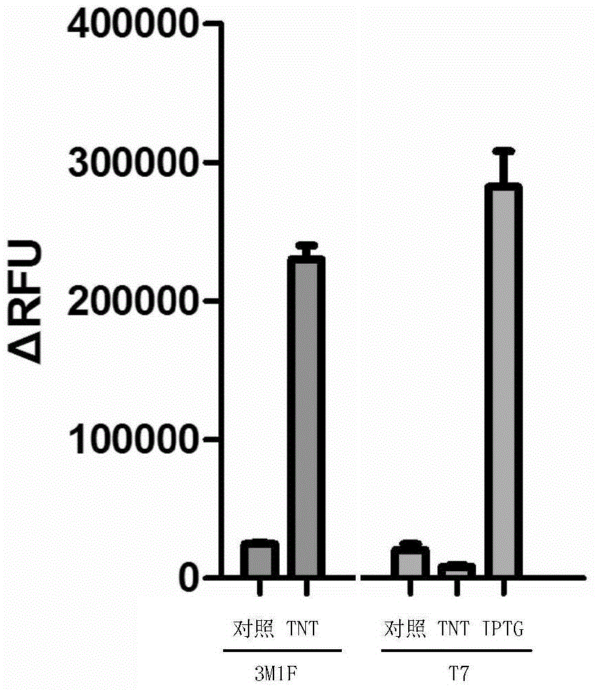 Promoter 3M1F and applications thereof