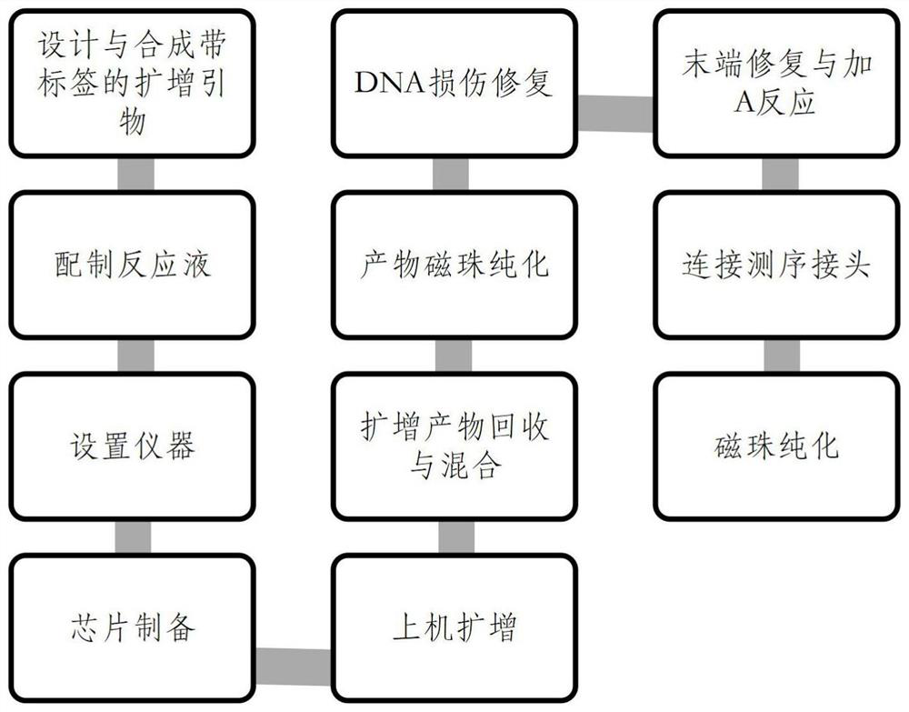 Technical method for high-throughput construction of 16S rDNA full-length library based on Pacbio sequencing