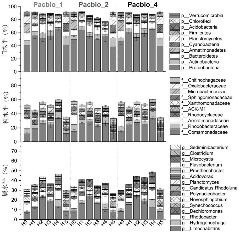 Technical method for high-throughput construction of 16S rDNA full-length library based on Pacbio sequencing