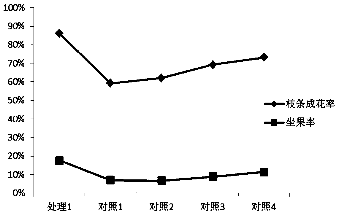 Ecological cultivation method for grapes