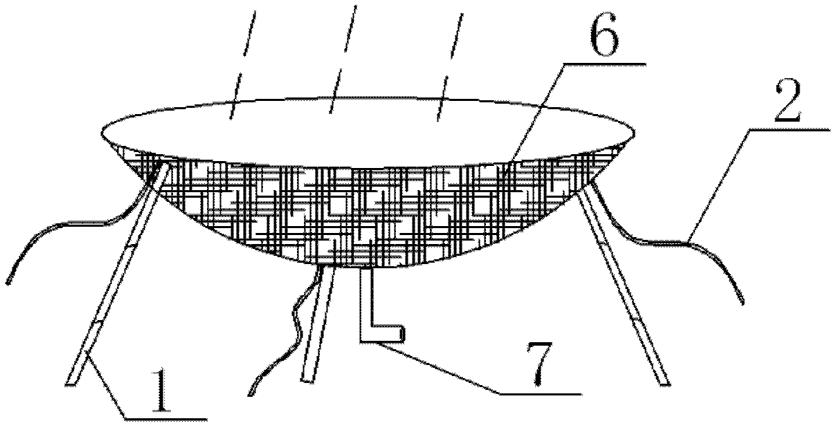 Aerial water receiving canopy