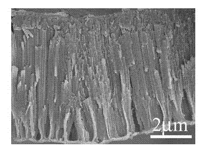 Growing method and application of semi-metallic titanium dioxide nanotube array film