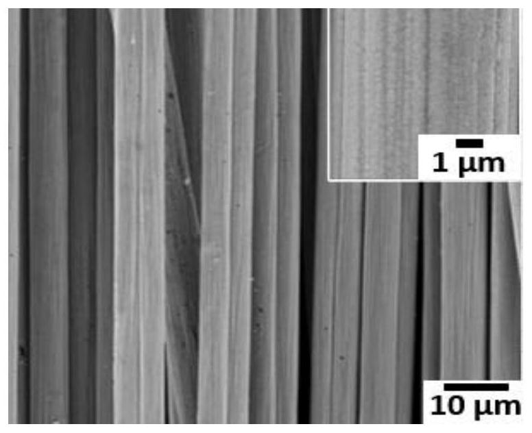 A kind of preparation method of superhydrophobic superoleophilic nickel-plated carbon fiber