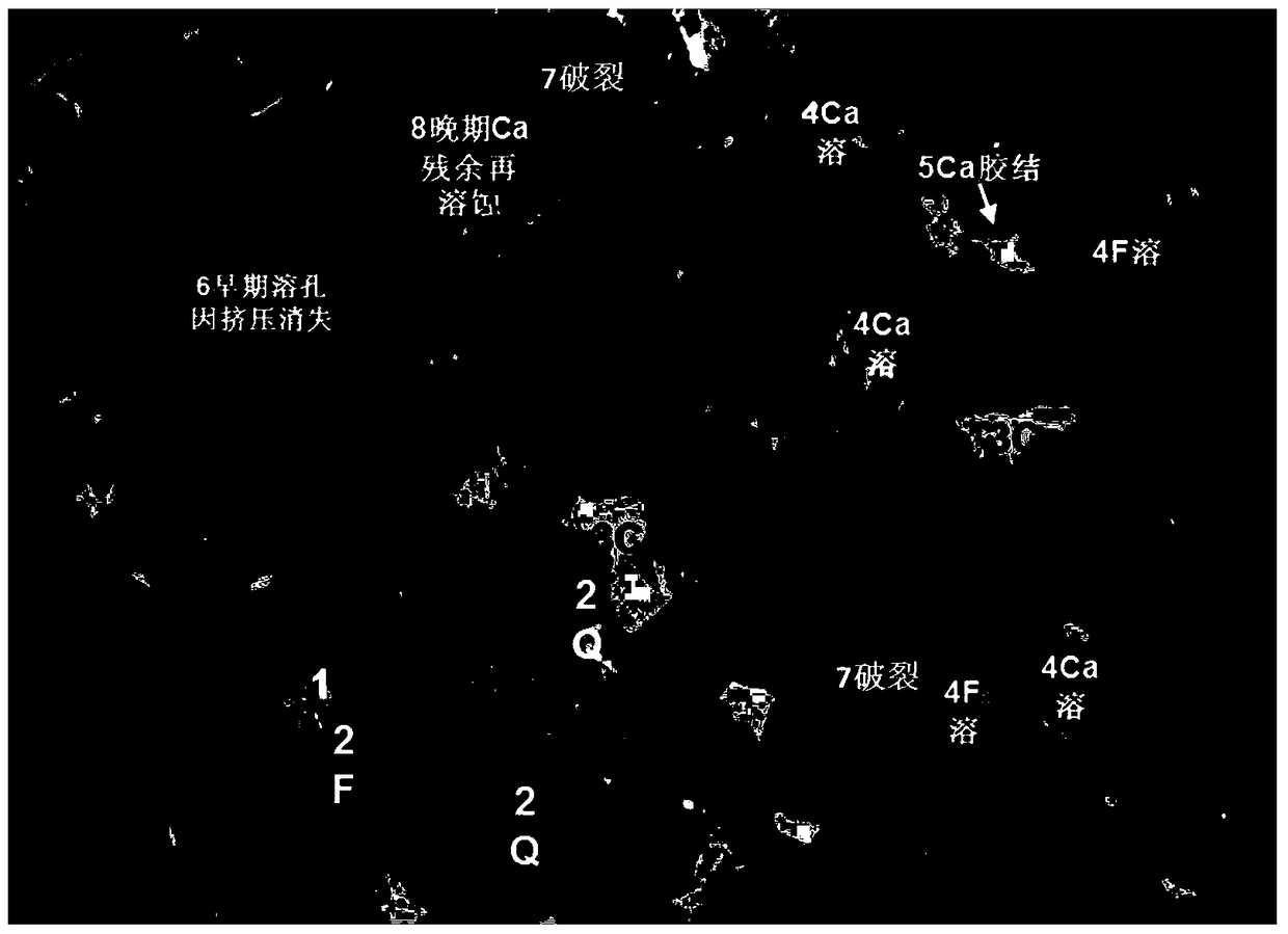 Determination method of diagenetic process and pore evolution process of sandstone reservoir in foreland basin