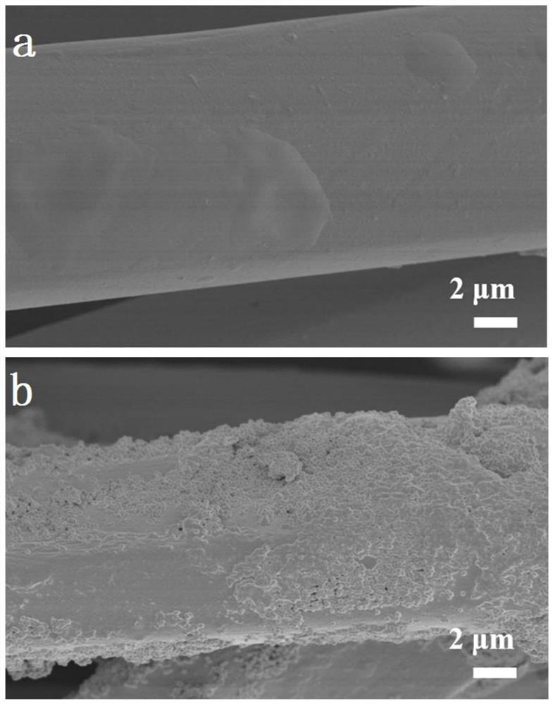 Preparation method and application of double-sided oleophobic superhydrophobic-superhydrophilic janus material